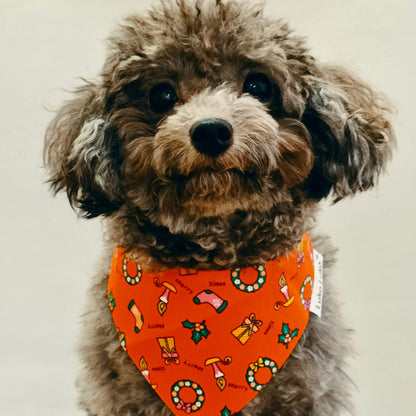 Grey poodle wearing Avery Red Christmas bandana, handmade pet accessory for dogs and cats.