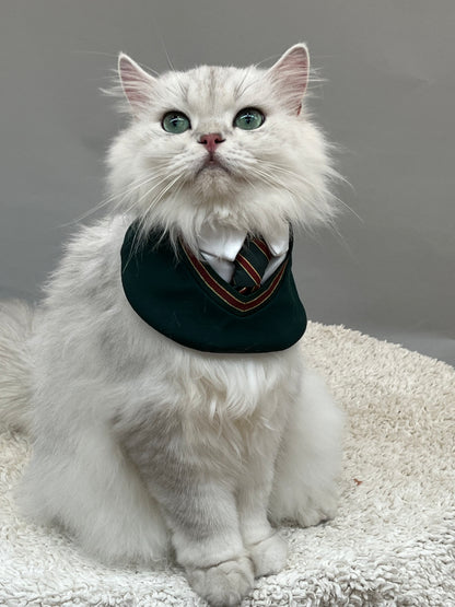 White long-haired cat dressed in green 'Ivy' bandana with tie, embodying preppy pet fashion – luxury accessory for sophisticated pets