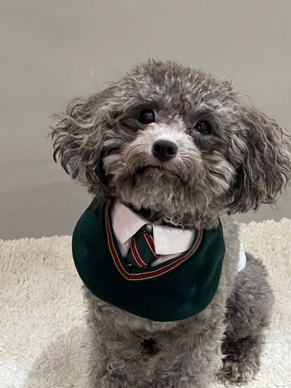 Small dog in green 'Ivy' preppy bandana, featuring a private school-style tie and collar – ideal for upscale pet accessories.