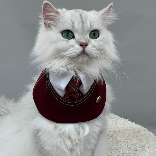 White cat wearing the red 'Ivy' preppy pet bandana, featuring a private school-inspired tie design with a lapel pin, adding a touch of elegance and style.