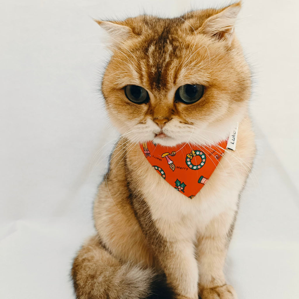 Orange cat wearing Avery Red Christmas bandana, handmade pet accessory for cats and small dogs.