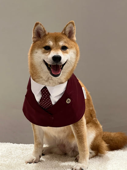 A stylish Shiba Inu dressed in a red Winston bandana, featuring a sophisticated design with a polka-dot tie, exuding elegance and class, perfect for upscale pet fashion and formal occasions.